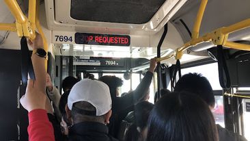 Harrisites weigh in on public transportation overcrowding