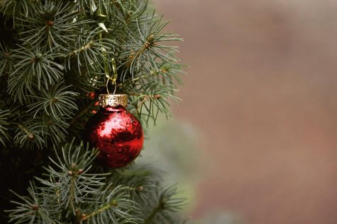 Greener ways to dispose your trees this holiday season