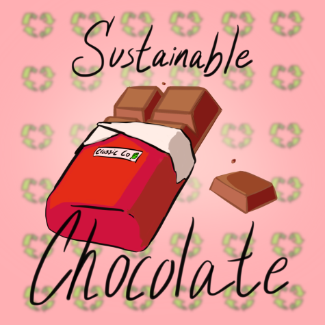 Sustainable chocolates  to gift this Valentine’s day.