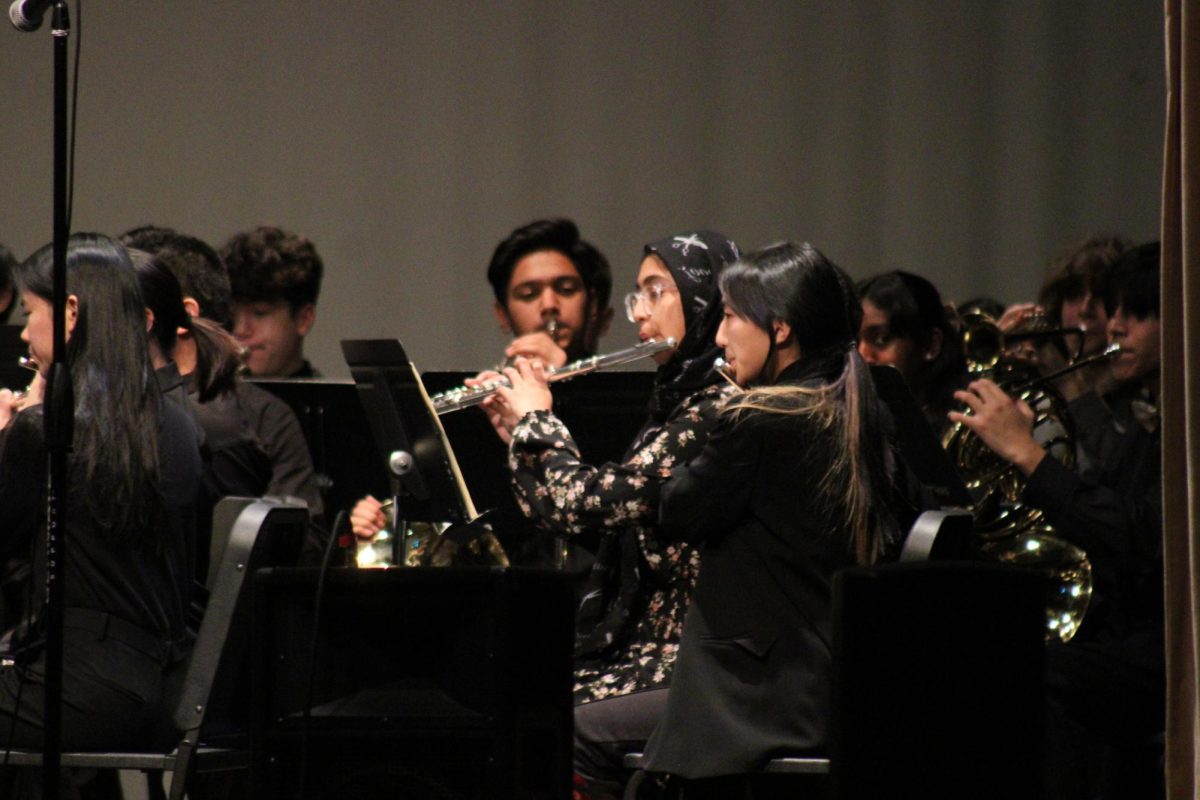 The band performing during the Winter Concert.