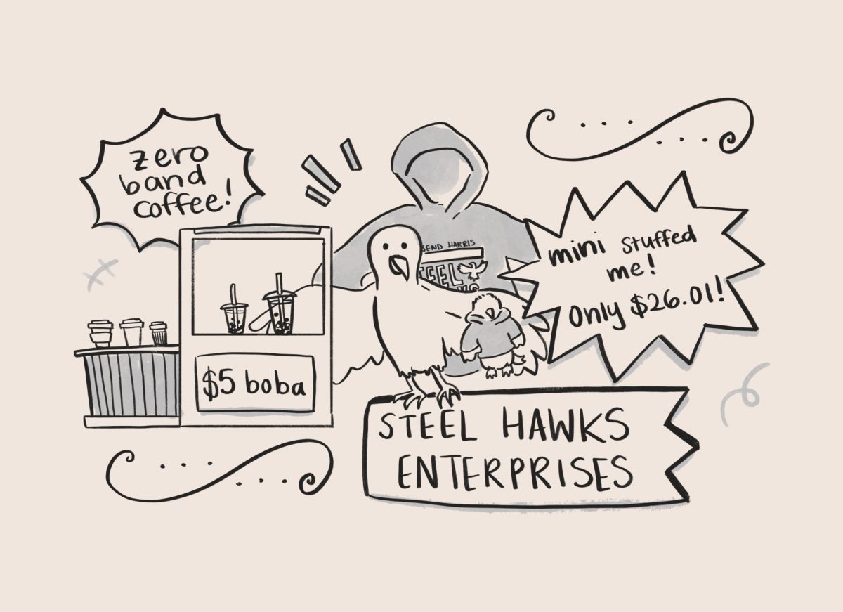 Steel Hawks Enterprises - Amy Jiang