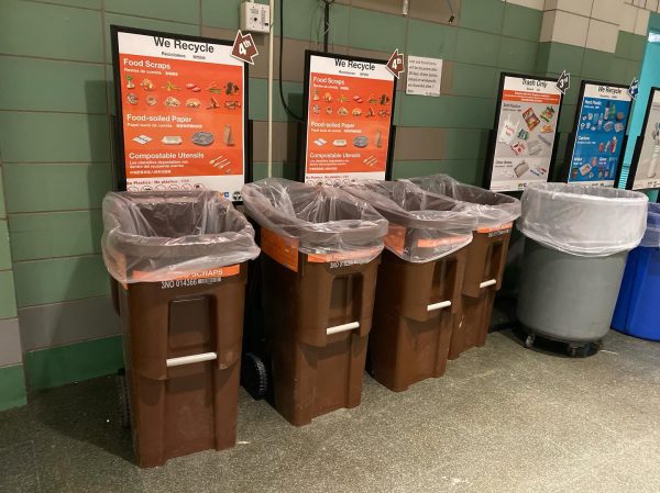 New color-coded bins stand along the cafeteria walls with arrows and instructive boards behind them.