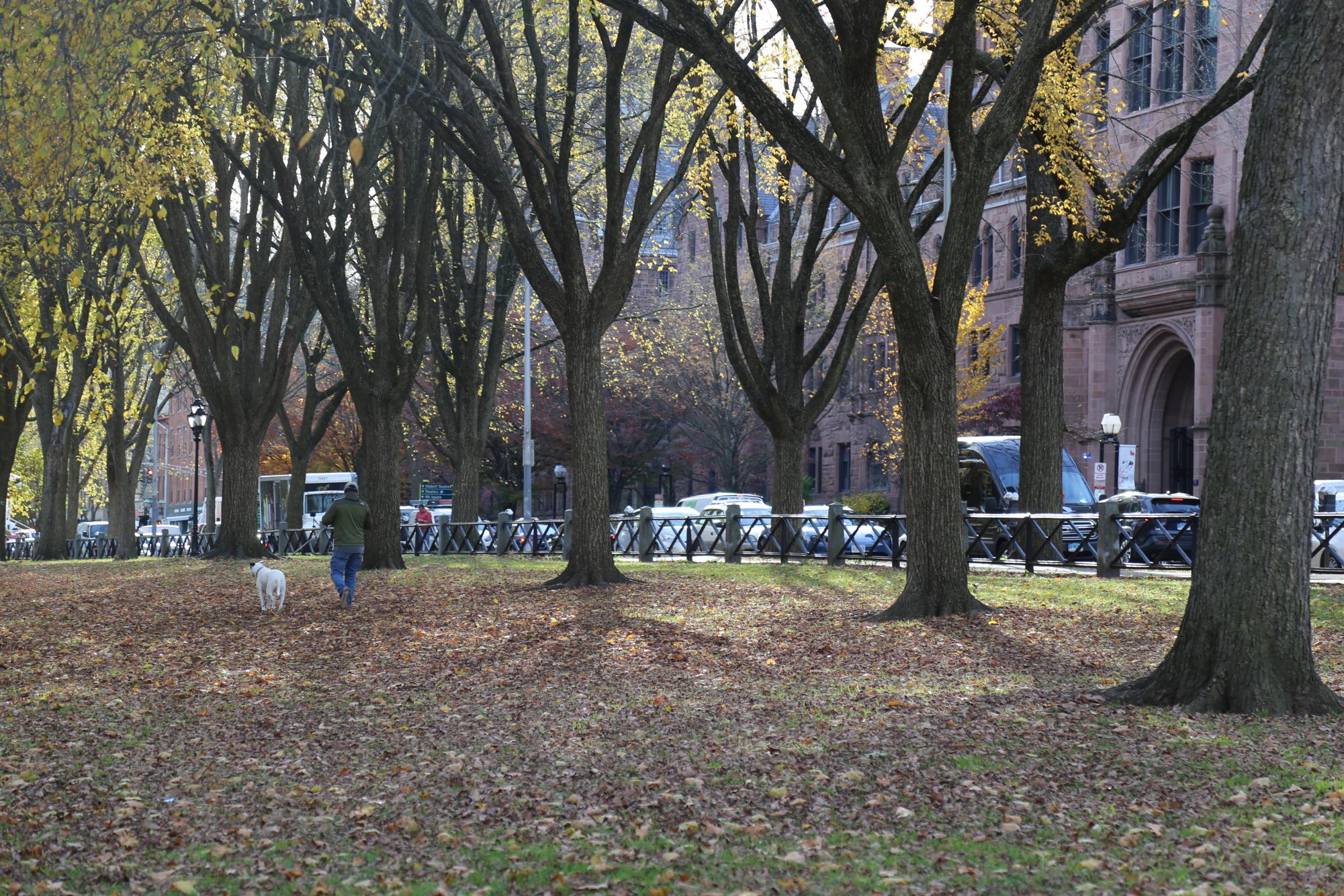 Students toured the Yale campus (pictured here) on a field trip last November. Though college tours and other common experiences remain the same, how has AI impacted the admissions process?