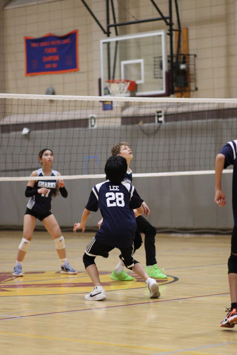 Middle School Volleyball Championship 1/31