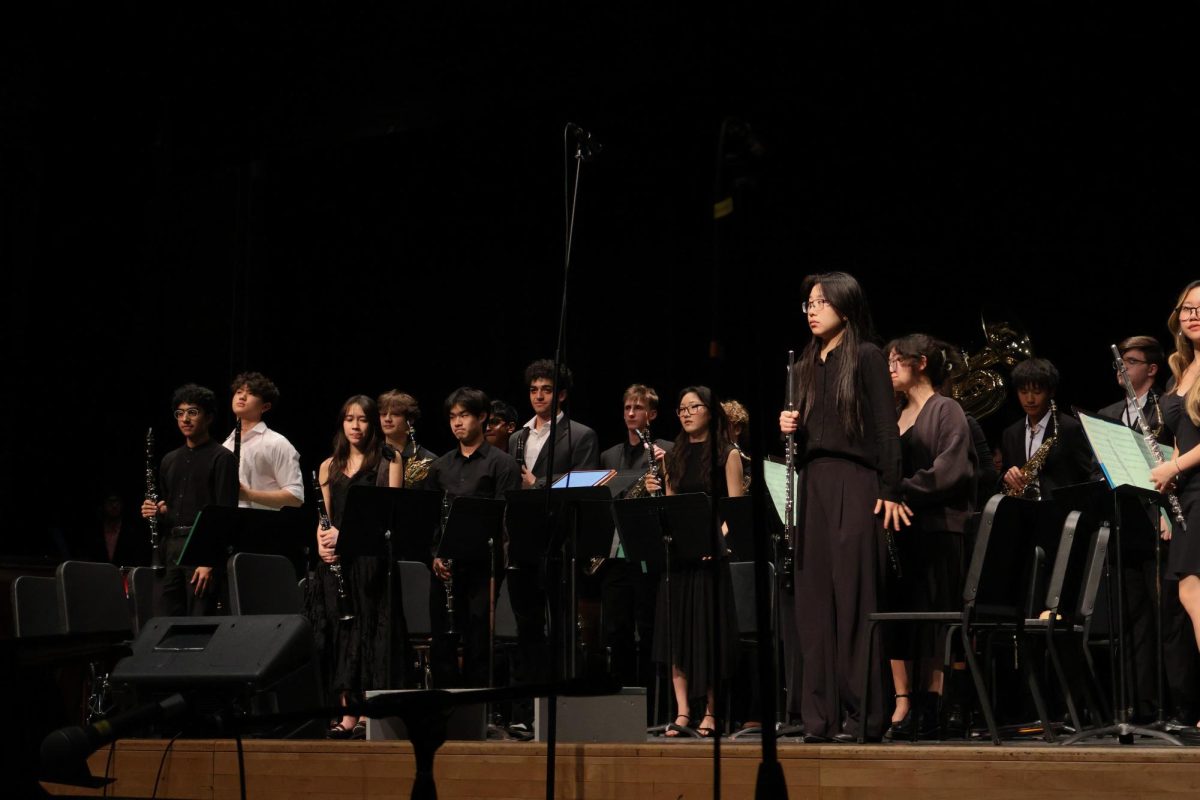 A musical section during Spring Concert