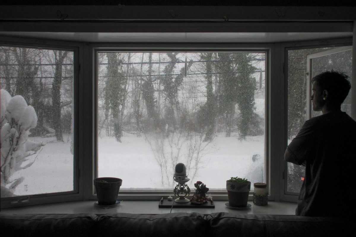 Snow piling up in a yard around Seaford during the blizzard on February 22-23
