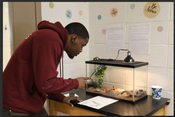 The animal behavior science elective helps students with specific interests in biology or veterinary sciences engage in a science geared toward their potential career goals.