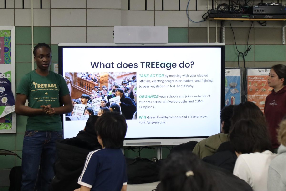 The Townsend Harris Green Team participated in an event to raise awareness about climate change called the “Youth Day of Action,” the event was run by an organization called TREEage.