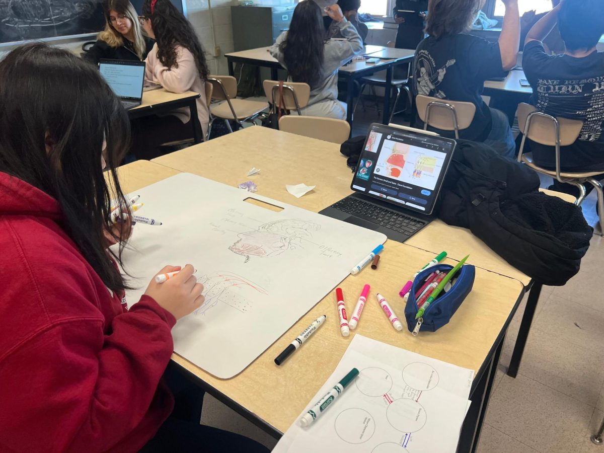 Sophomore Science Research allows for students to build a research project based on their own curiosities and interests.